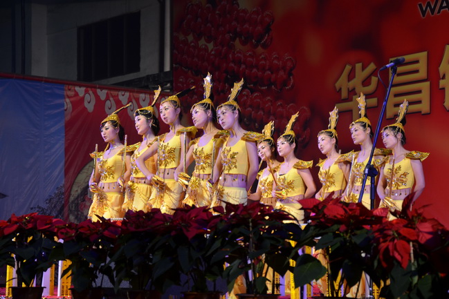 4008云顶集团(国际)股份有限公司