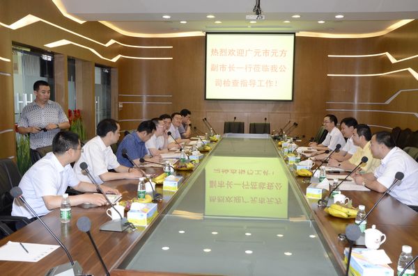 4008云顶集团(国际)股份有限公司