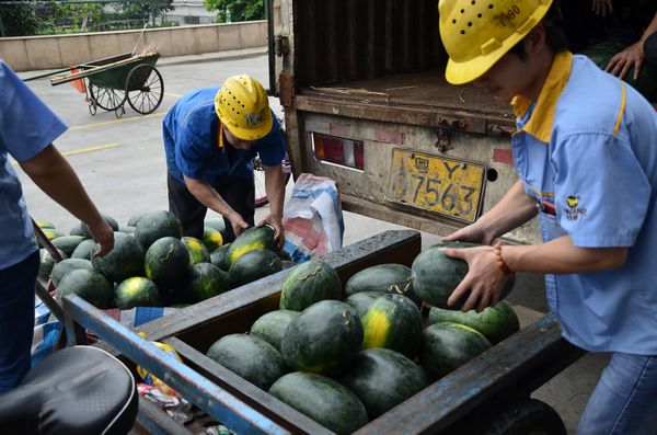 西瓜杀到，炎暑难挡