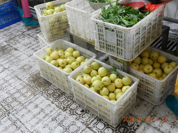 4008云顶集团(国际)股份有限公司