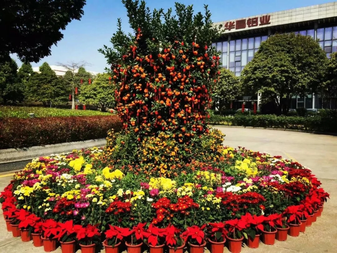 4008云顶集团(国际)股份有限公司