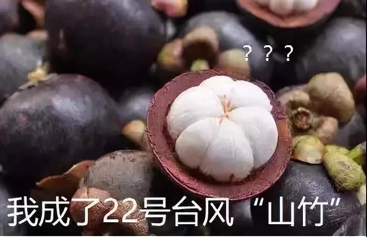 4008云顶集团(国际)股份有限公司