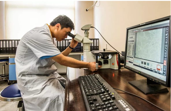 4008云顶集团(国际)股份有限公司